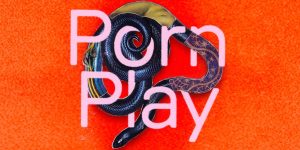 There is an orange backgroud. In the centre of the image is the title in pink lettering - 'Porn Play'. Intertwined with the lettering is a dark blue snake. There are snippets of images laid over the snake. One is a purple pattern with gold stars. One is greyish photo of some human flesh. The other is a bunch of wires.